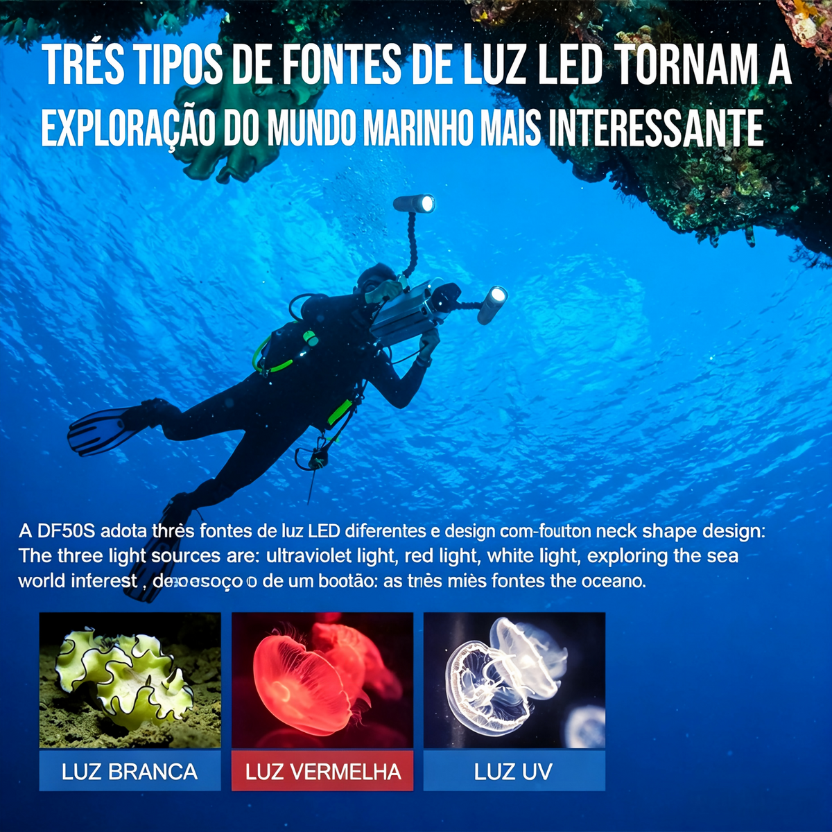 Lanterna de Mergulho DF50S 6500LM à Prova d'Água 70M com Luz UV e Vermelha TrustFire